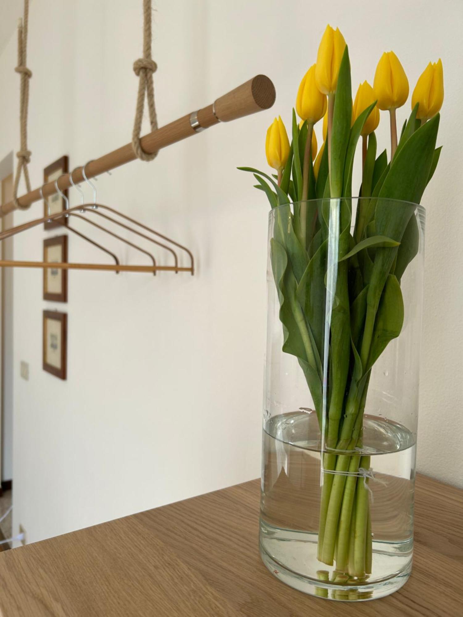 Villa Agricolae Agriturismo Marina  외부 사진